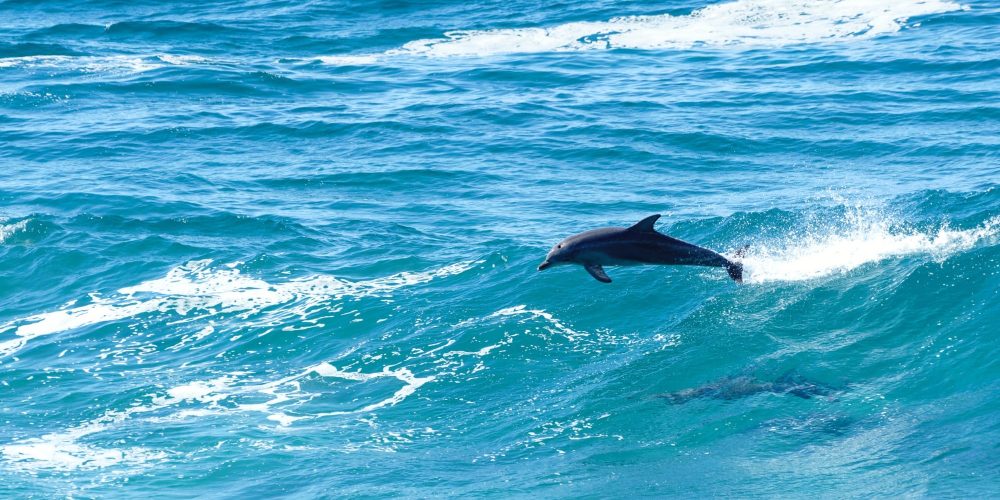 byron-bay-photos (17)